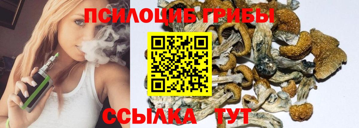 Галлюциногенные грибы Cubensis Нальчик