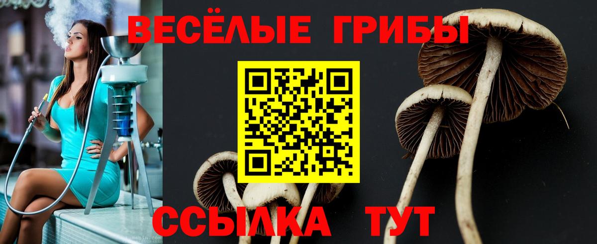 Нальчик  Псилоцибиновые грибы Magic Shrooms  Вход с VPN 